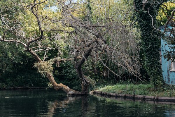 Comment choisir un dentiste à genève pour des soins dentaires de qualité
